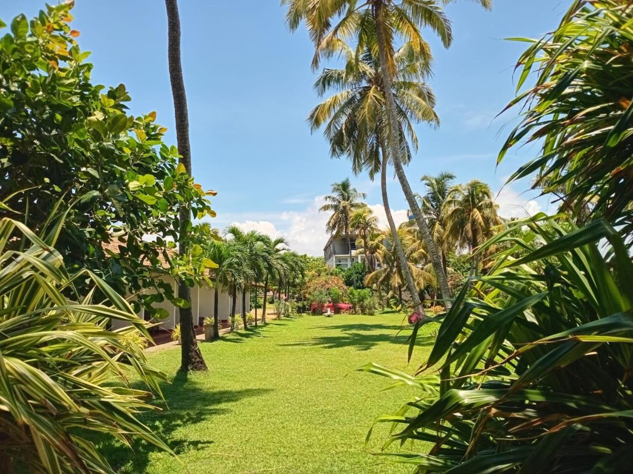 Ceylonica Beach Hotel Negombo Eksteriør bilde