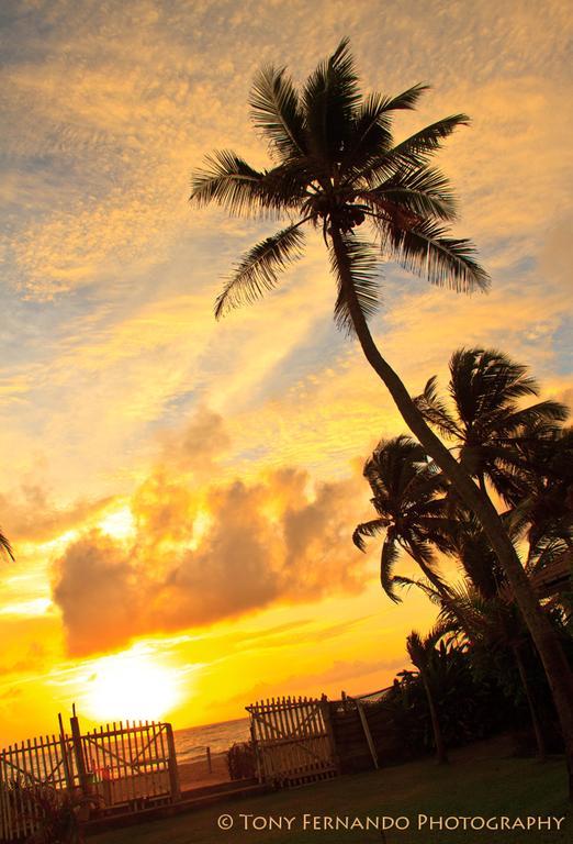 Ceylonica Beach Hotel Negombo Eksteriør bilde